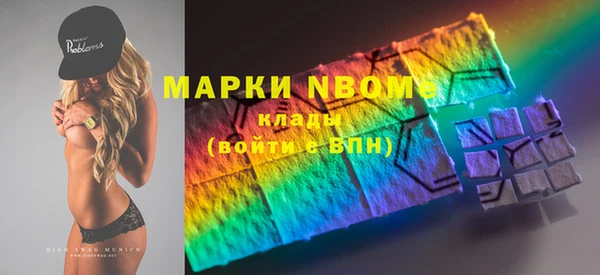 индика Гусь-Хрустальный