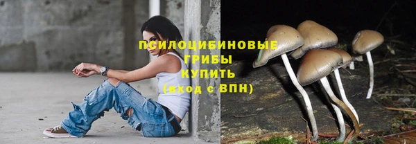 МДПВ Гусев
