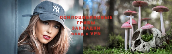 МДПВ Гусев