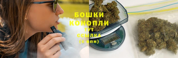 индика Гусь-Хрустальный