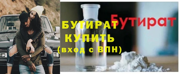 индика Гусь-Хрустальный