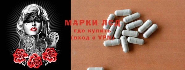 индика Гусь-Хрустальный