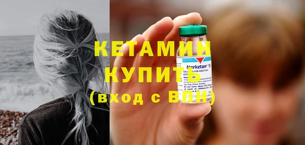 индика Гусь-Хрустальный