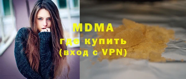 индика Гусь-Хрустальный