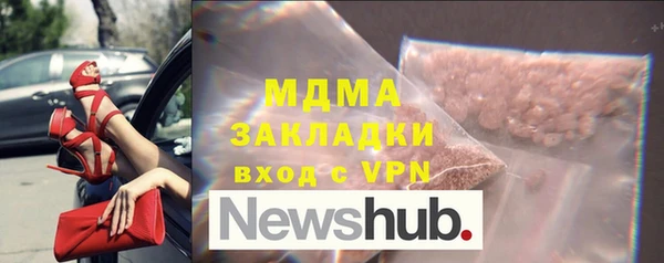 индика Гусь-Хрустальный