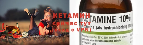 индика Гусь-Хрустальный
