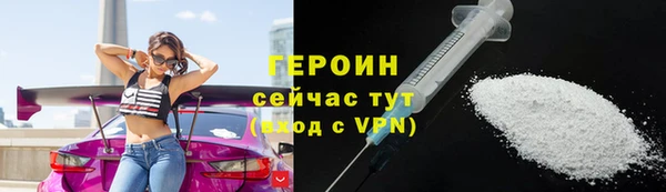 индика Гусь-Хрустальный