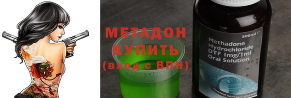 индика Гусь-Хрустальный