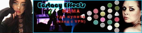 индика Гусь-Хрустальный