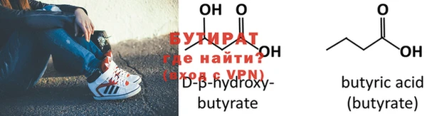 индика Гусь-Хрустальный