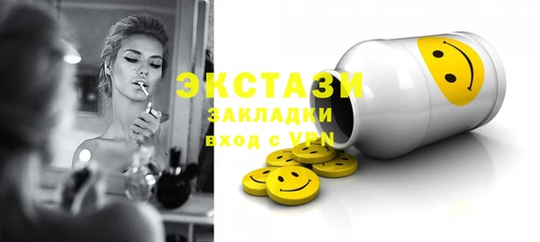 индика Гусь-Хрустальный