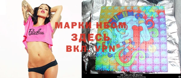 МДПВ Гусев