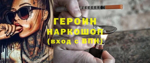 индика Гусь-Хрустальный