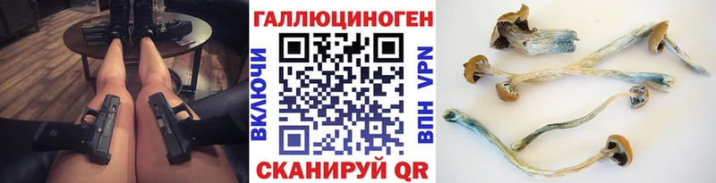 Псилоцибиновые грибы GOLDEN TEACHER  МЕГА tor  Мурманск 